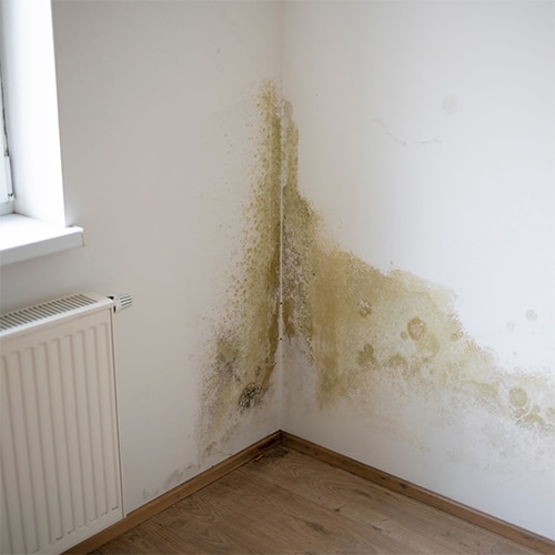 start-wasserschaden-1